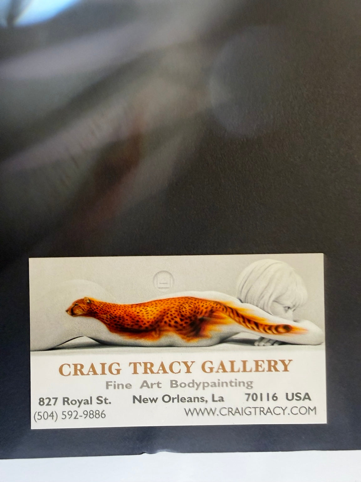 Signed and numbered Craig Tracy bodypainting art print, Tweefwog, edition 269/500, view 5