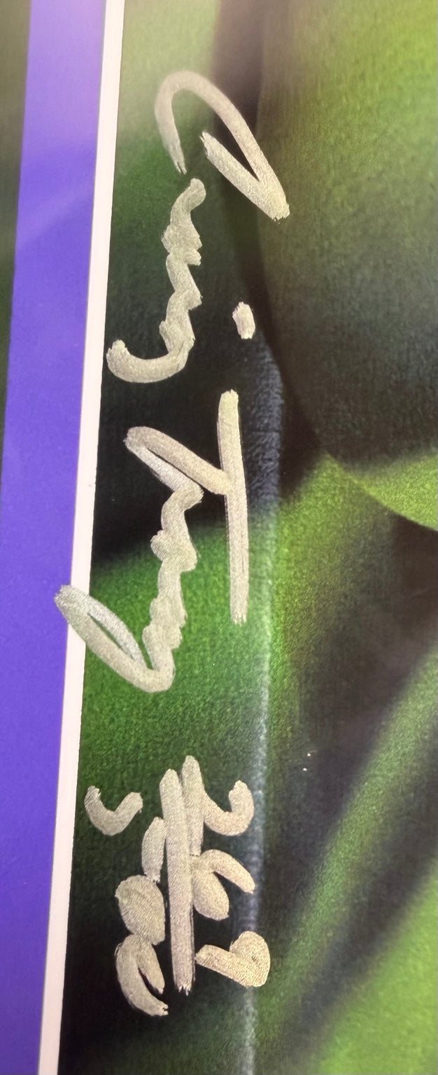 Signed and numbered Craig Tracy bodypainting art print, Tweefwog, edition 269/500, view 4