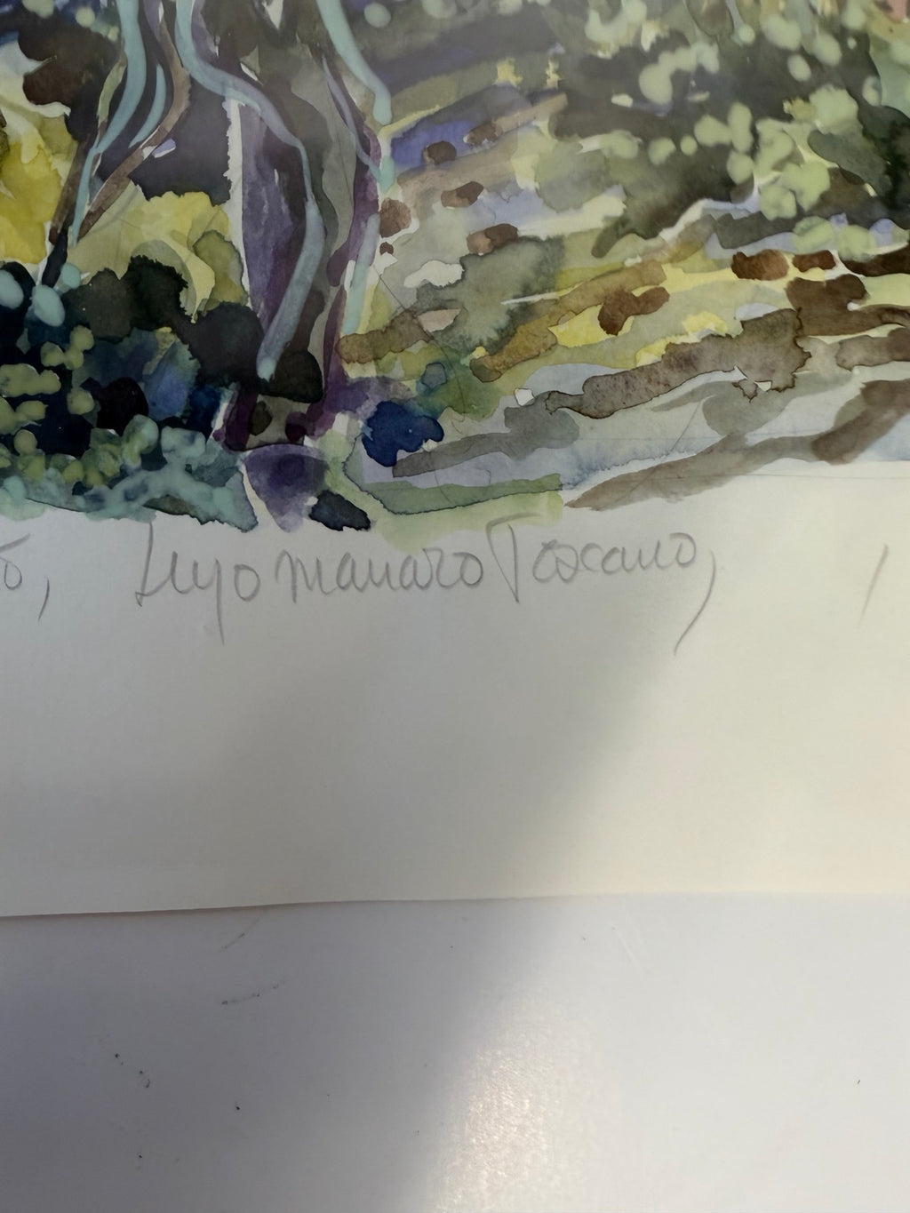 Vintage 1986 limited edition art print, number 4 of 85: Lupo Mannaro Toscano, view 3