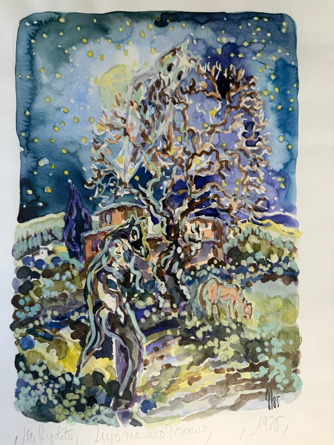 Vintage 1986 limited edition art print, number 4 of 85: Lupo Mannaro Toscano, view 5