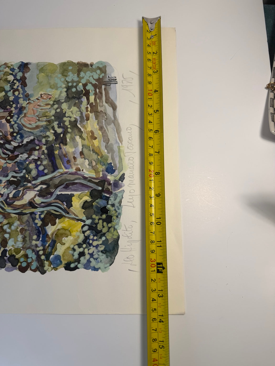 Vintage 1986 limited edition art print, number 4 of 85: Lupo Mannaro Toscano, view 6