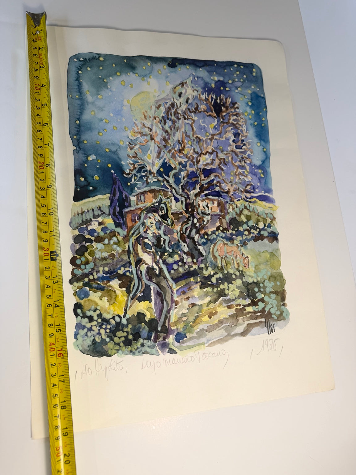 Vintage 1986 limited edition art print, number 4 of 85: Lupo Mannaro Toscano, view 7