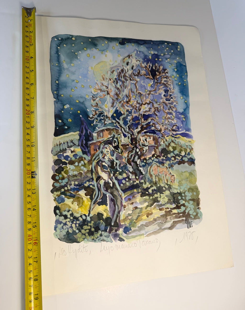 Vintage 1986 limited edition art print, number 4 of 85: Lupo Mannaro Toscano, view 8