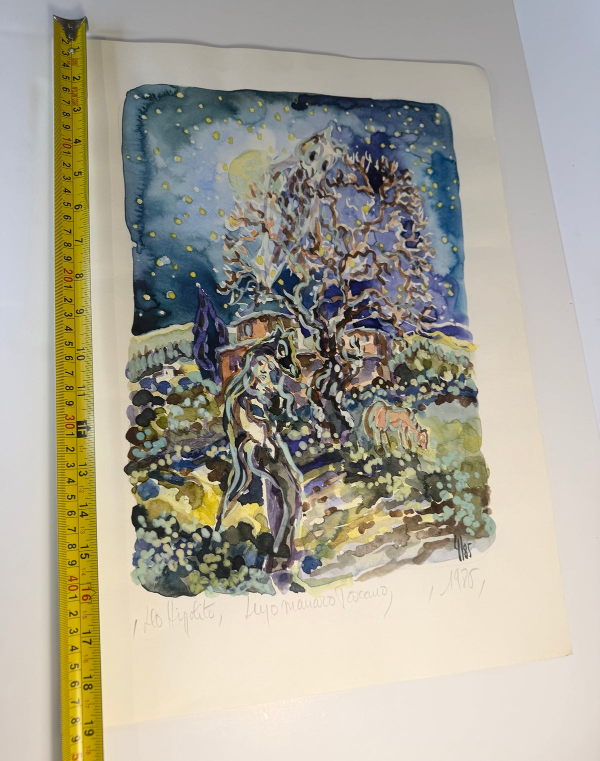 Vintage 1986 limited edition art print, number 4 of 85: Lupo Mannaro Toscano, view 8