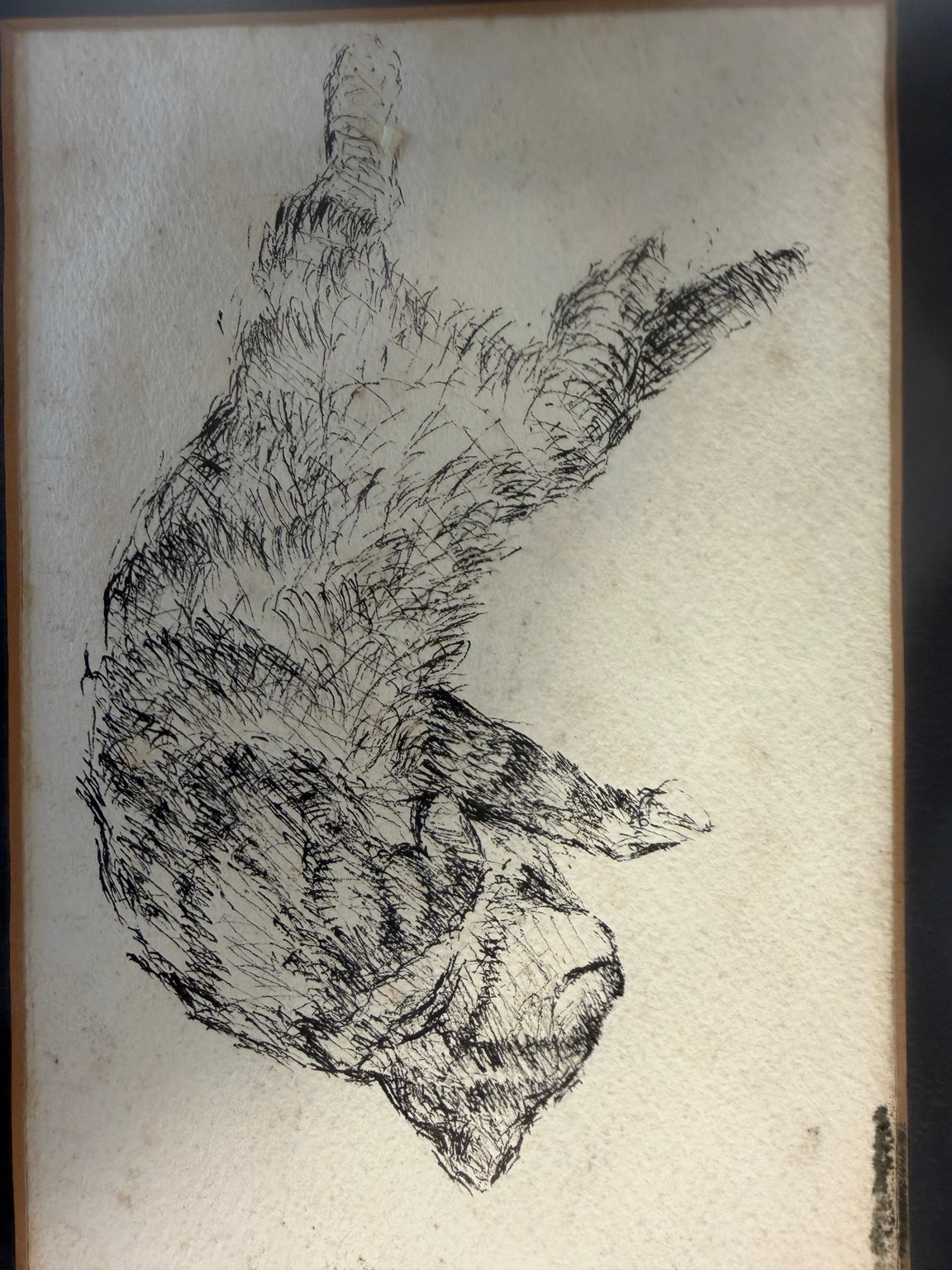 Framed black and white cat sketch with a whimsical, vintage feel, view 4