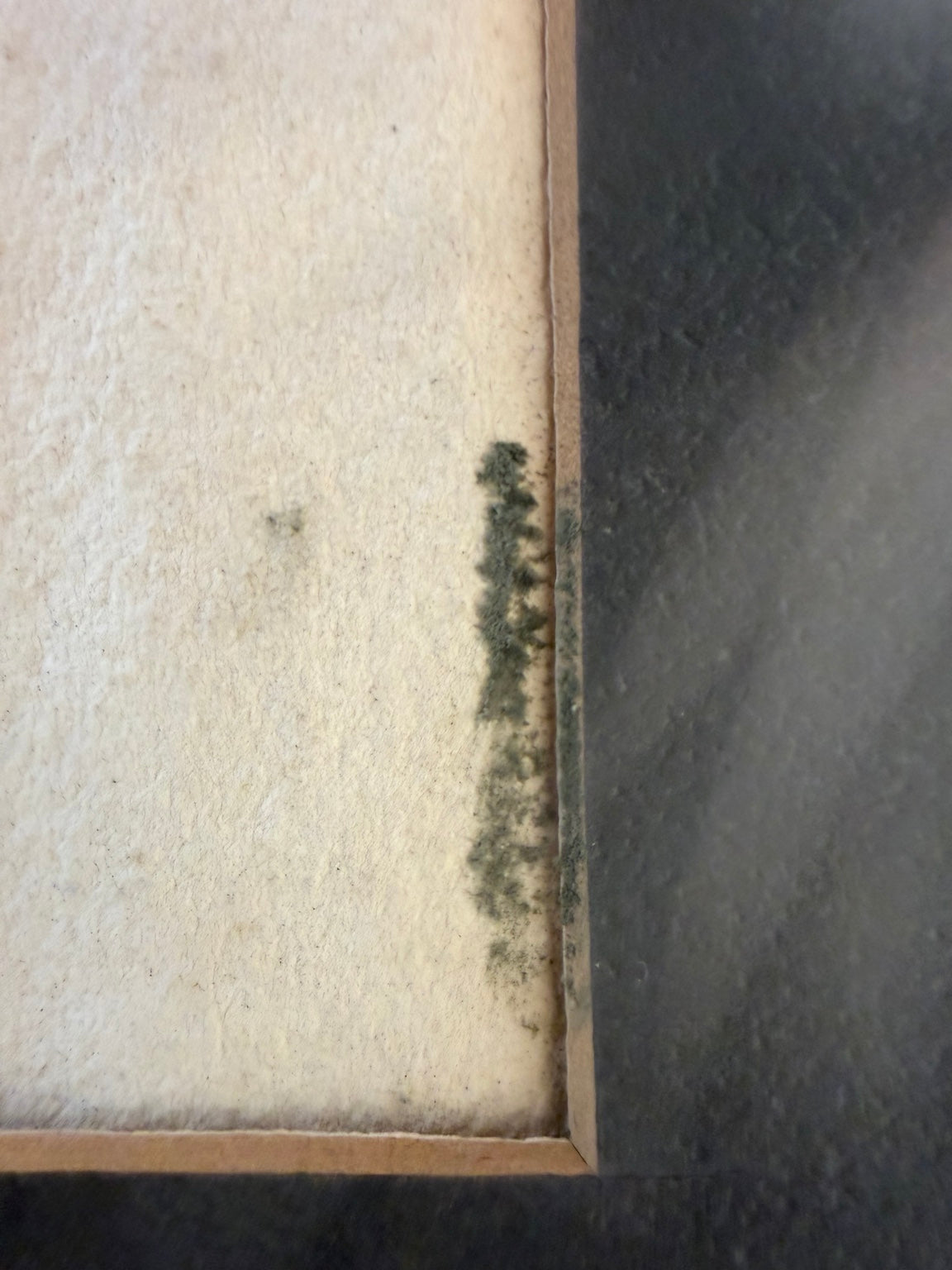 Framed black and white cat sketch with a whimsical, vintage feel, view 5