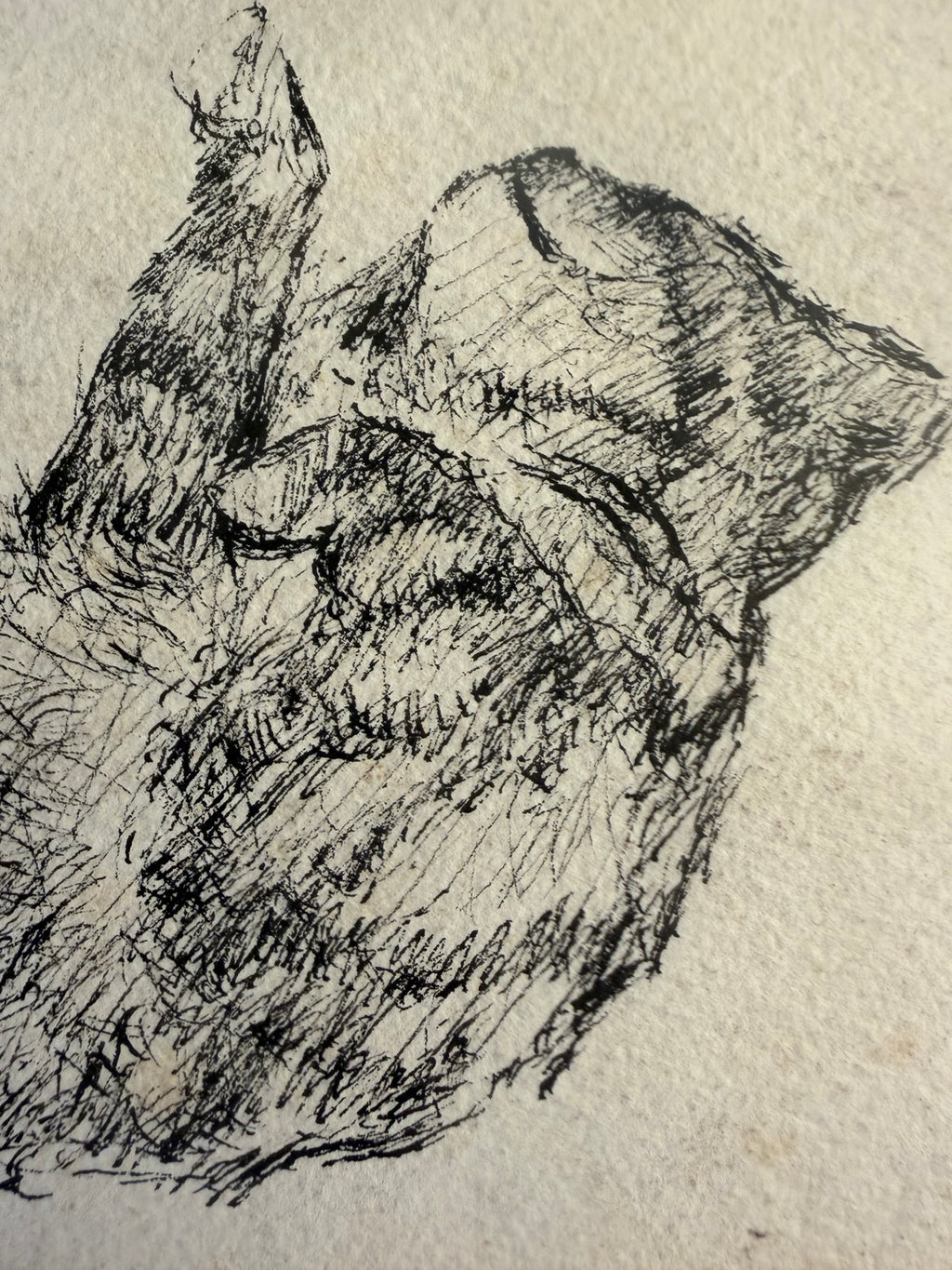 Framed black and white cat sketch with a whimsical, vintage feel, view 10