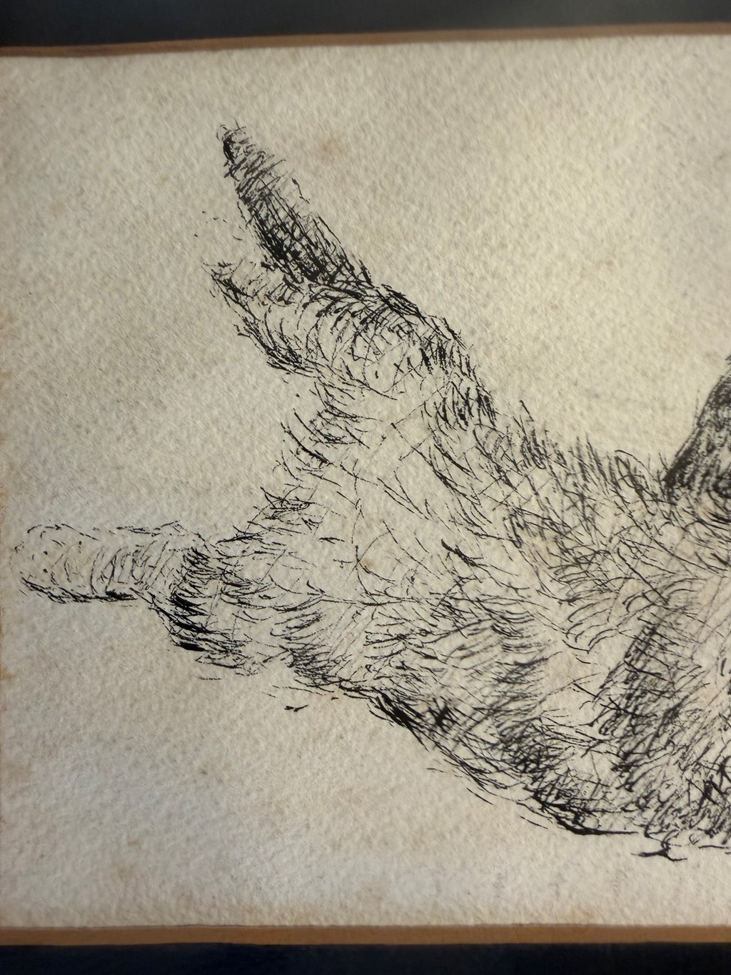 Framed black and white cat sketch with a whimsical, vintage feel, view 11