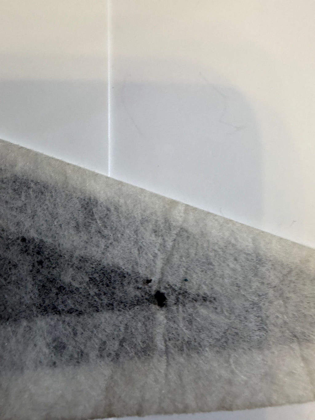 Small dark spot on back near tip
