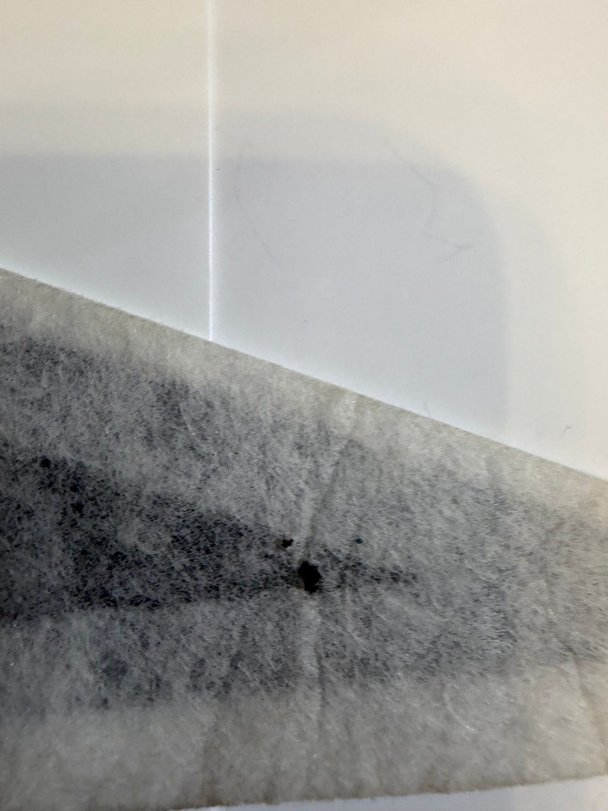 Small dark spot on back near tip