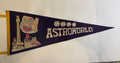 Vintage Astroworld felt pennant