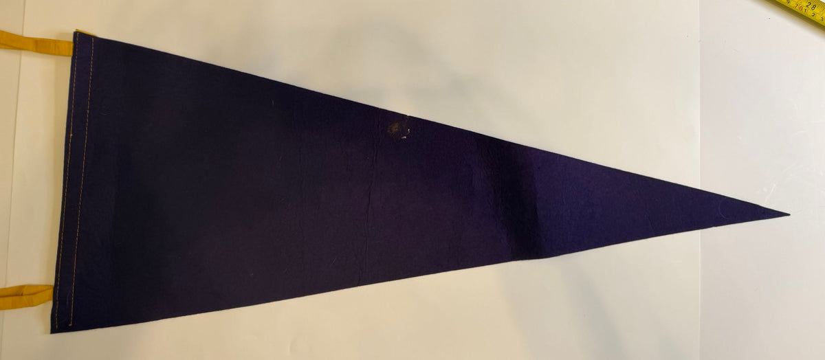 Back of Astroworld pennant
