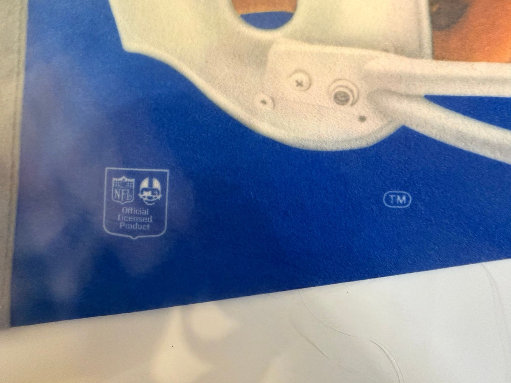 NFL official licensed product shield