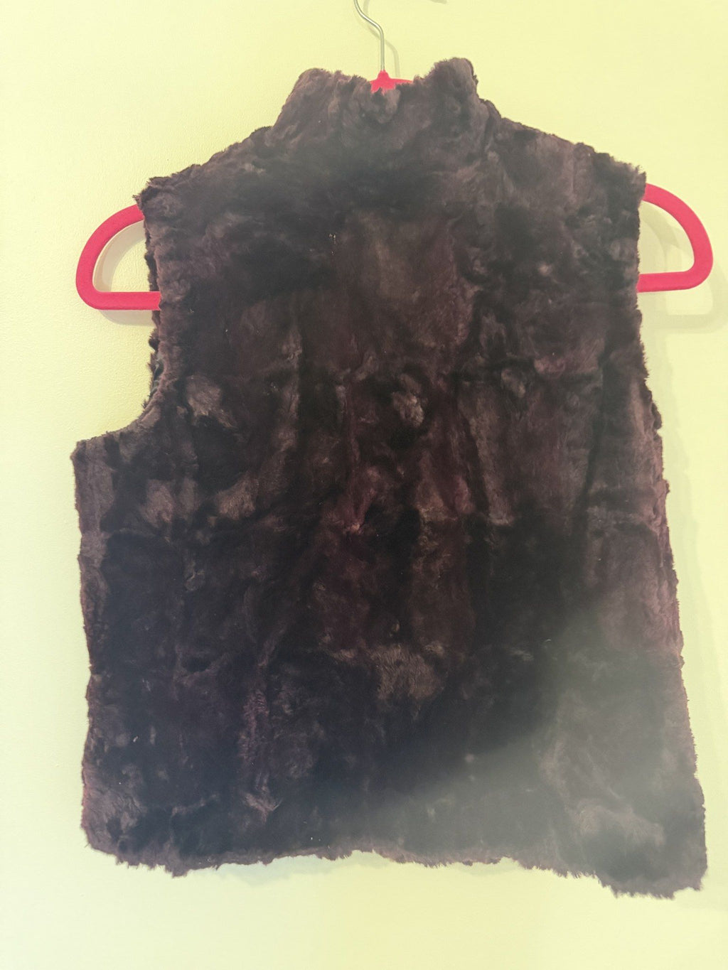 Fur vest back on hanger