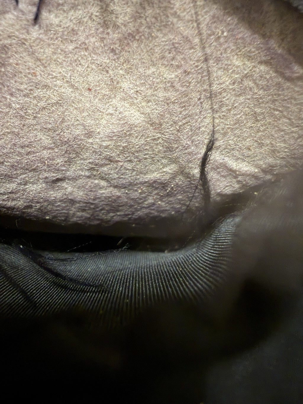 Leather skin backing under the lining