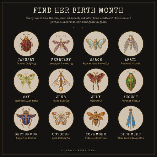 Birthstone sweatshirt chart: each birth month's jeweled insect and birthstone